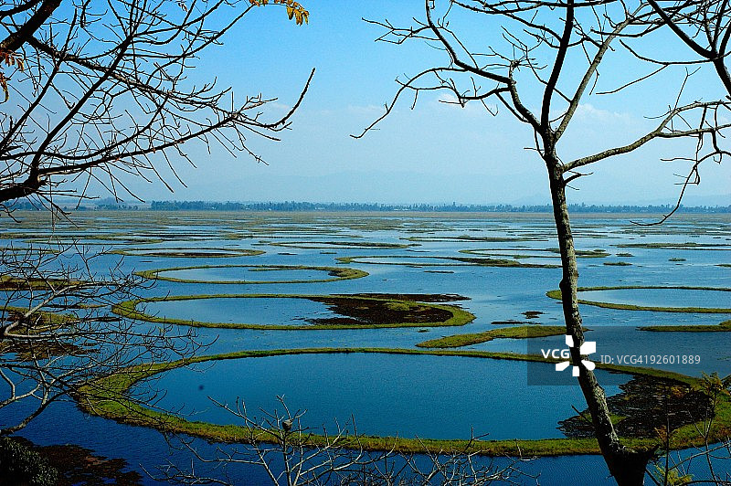 印度曼尼普尔邦洛克塔克湖图片素材
