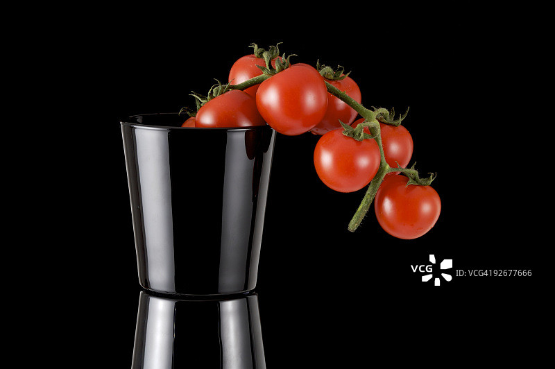 西红柿图片素材