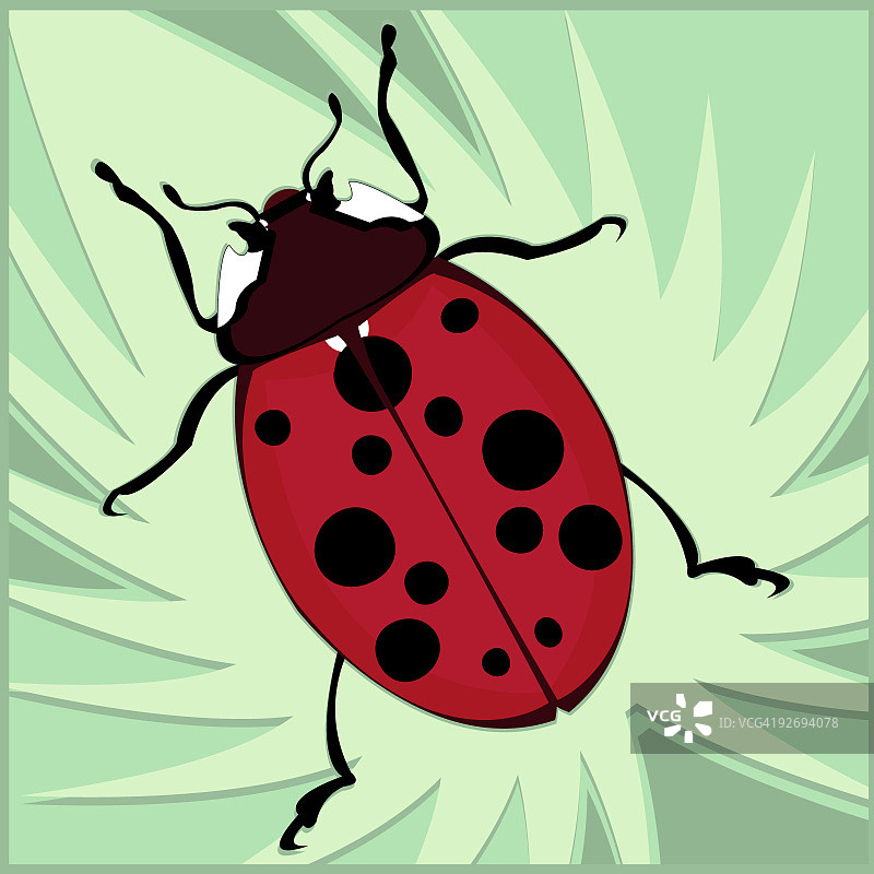 深红色瓢虫图片素材