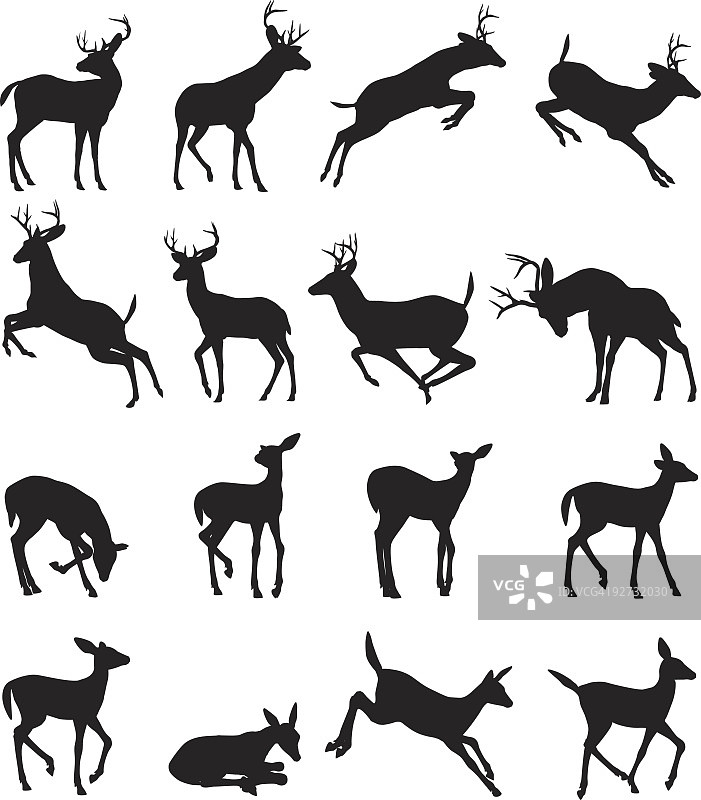 雄鹿轮廓图片素材