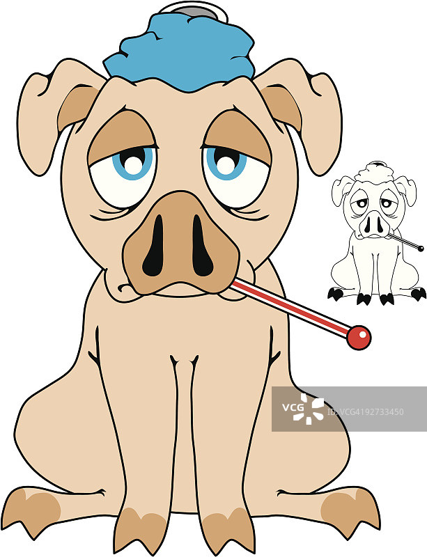 猪流感图片素材