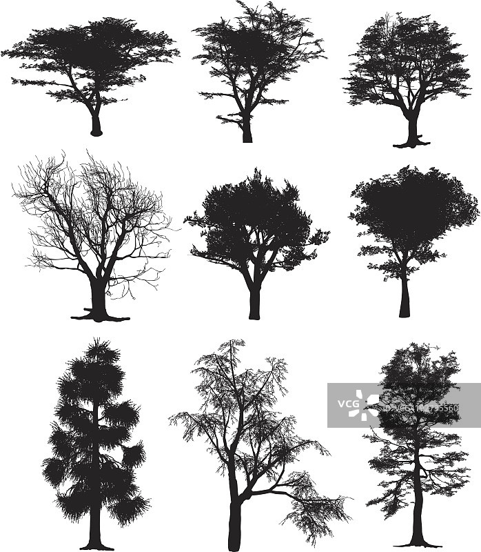 树木剪影合集图片素材