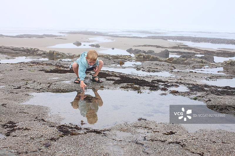 男孩用手指触摸潮汐池图片素材