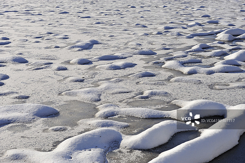 冰雪下的池塘与青草图片素材