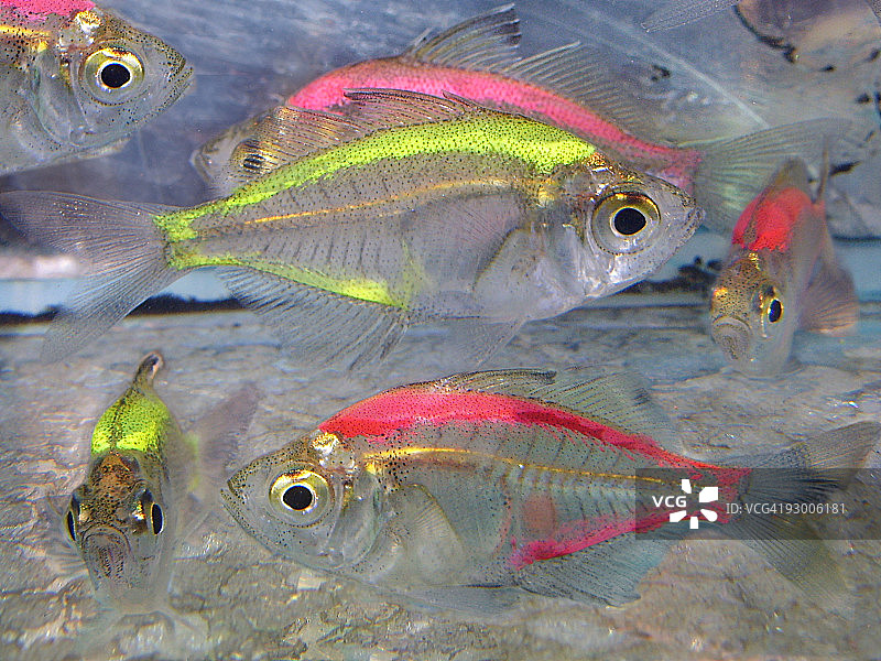 水族馆图片素材