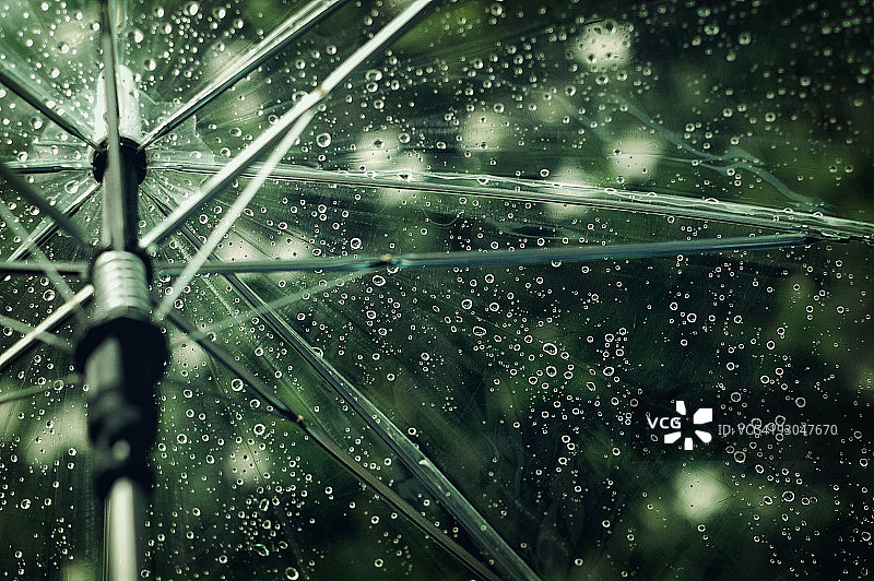 透明伞上的雨滴图片素材