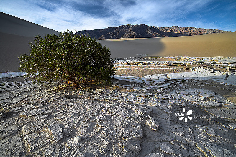 沙丘绿洲图片素材