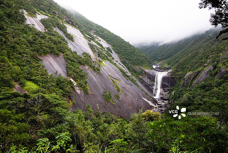 日本联合国教科文组织遗产雨林中的瀑布图片素材