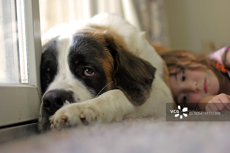 孩子与小狗图片素材