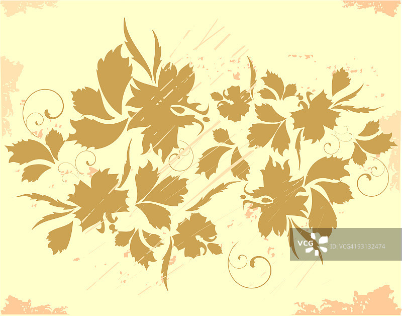 植物区系图片素材