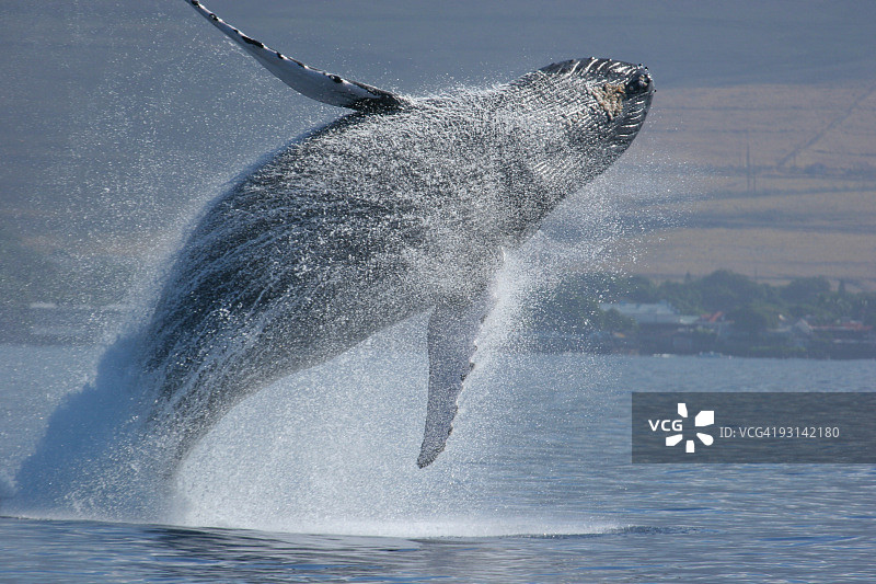 违规序列图片素材