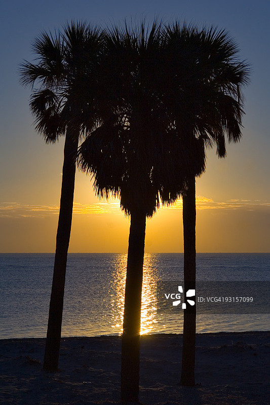 我的心在你手中图片素材