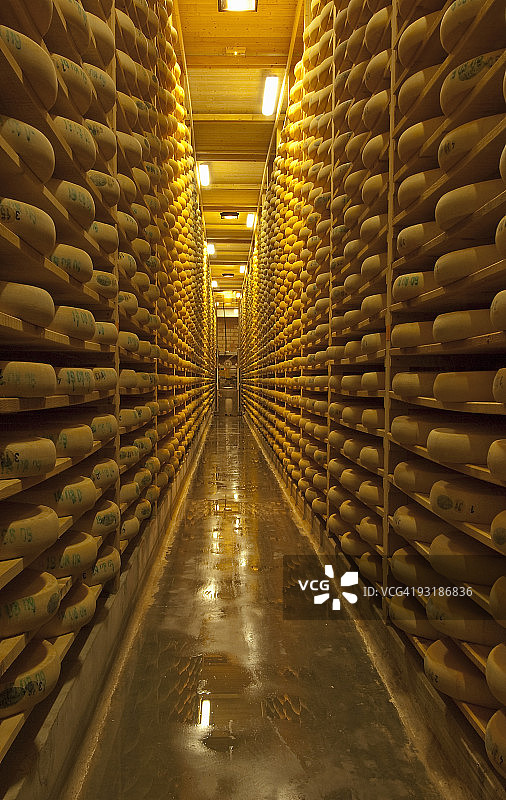 法国汝拉地区的孔泰奶酪熟化窖图片素材