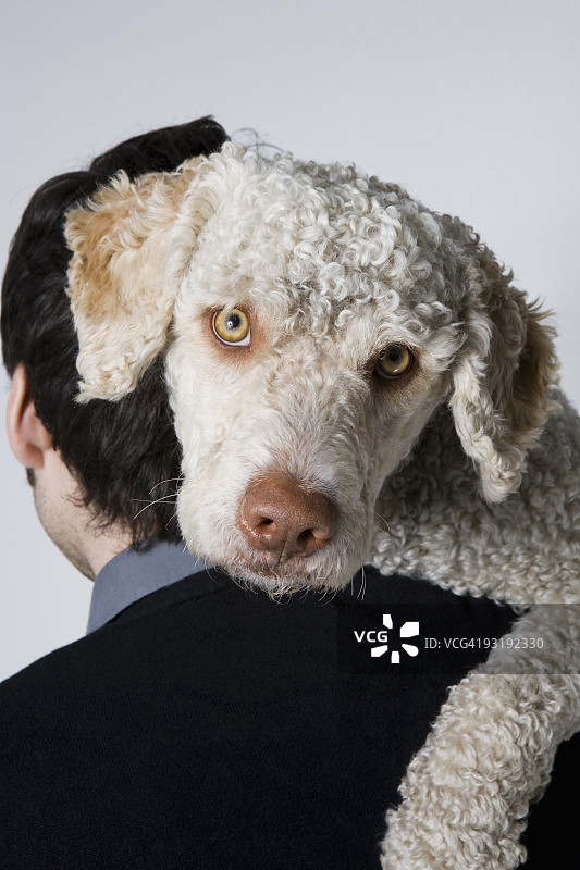 男子抱着狗的背影图片素材