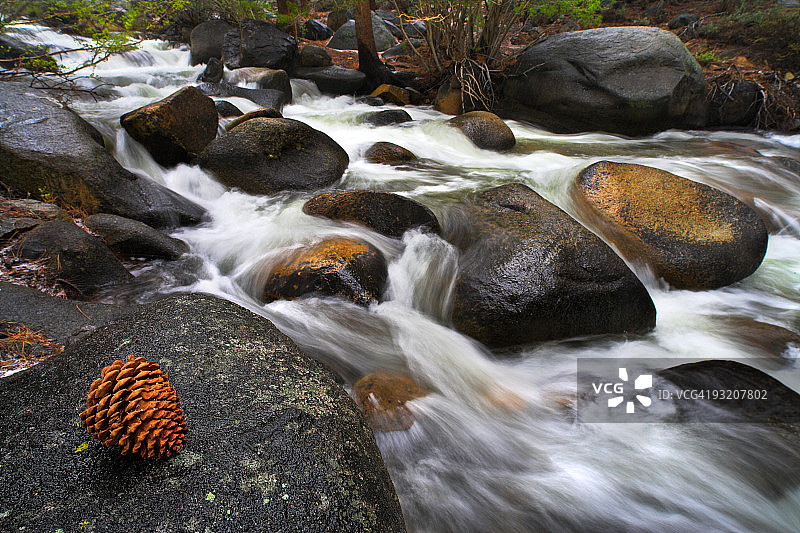 松果和毕夏普溪图片素材