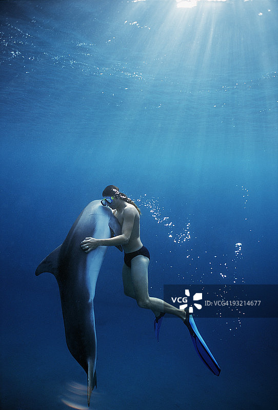 驯兽员与海豚同游图片素材