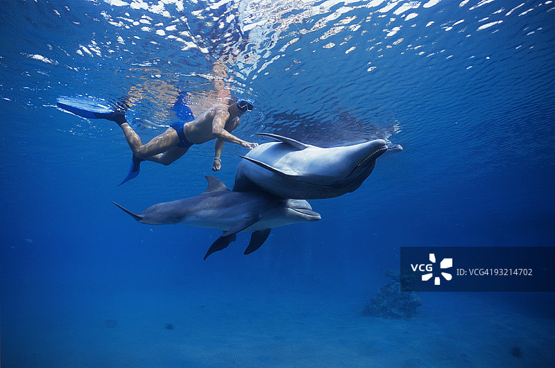 儿童与海豚互动图片素材