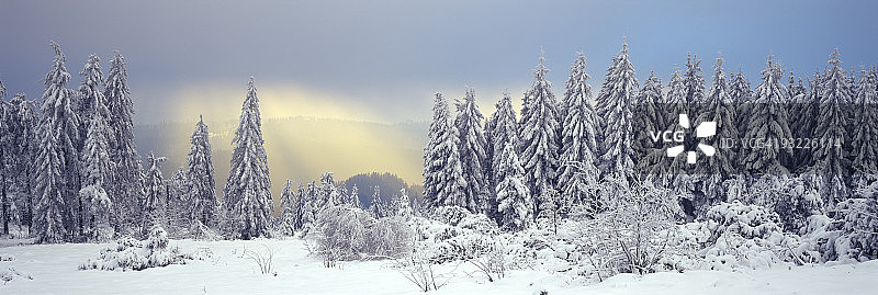 德国巴登-符腾堡州黑森林雪景图片素材