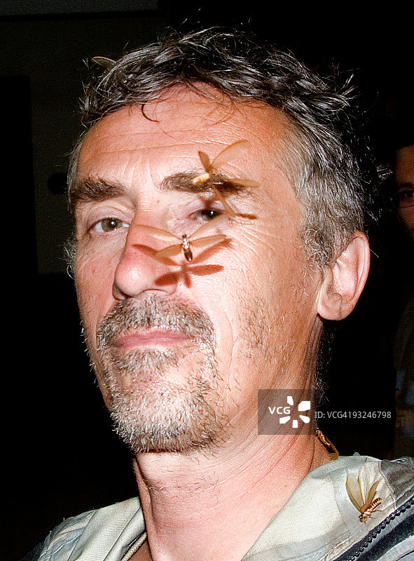 男人的脸和飞虫图片素材