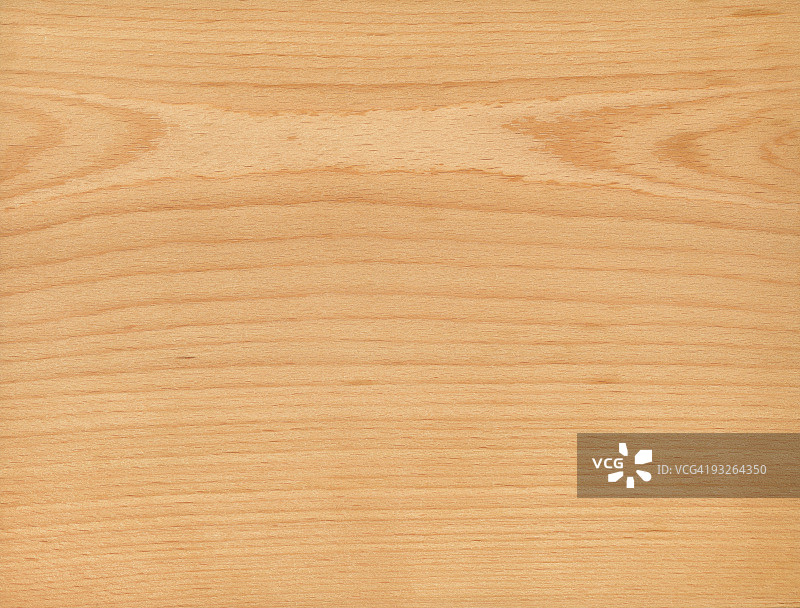 山毛榉木纹理高分辨率图图片素材