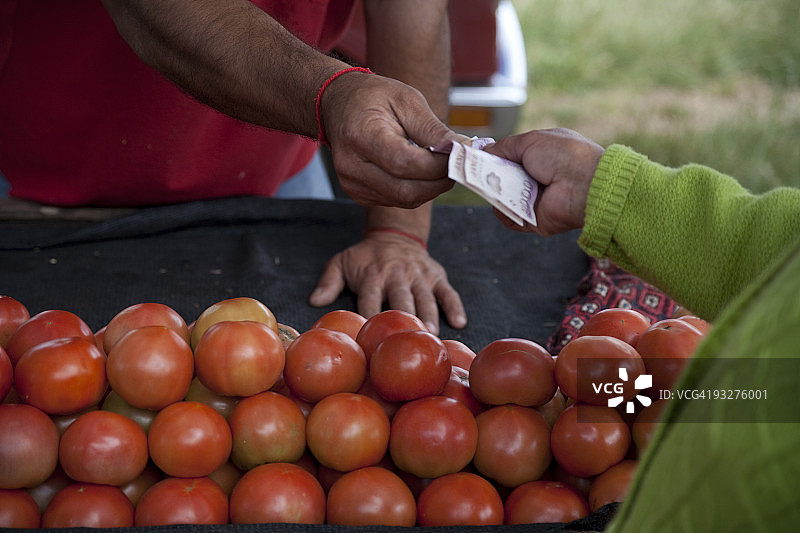 智利瓦尔迪维亚蔬菜市场图片素材