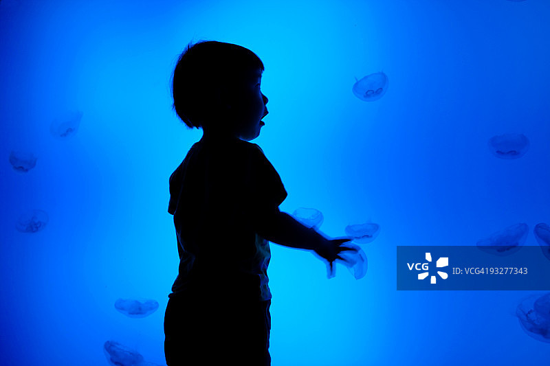 水族馆里的孩子和水母图片素材
