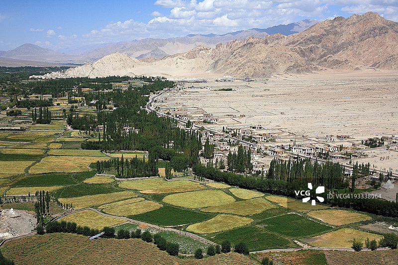 绿色沙子图片素材