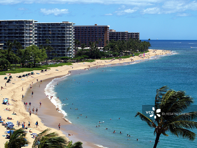 毛伊岛卡纳帕利海滩的美丽棕榈树图片素材