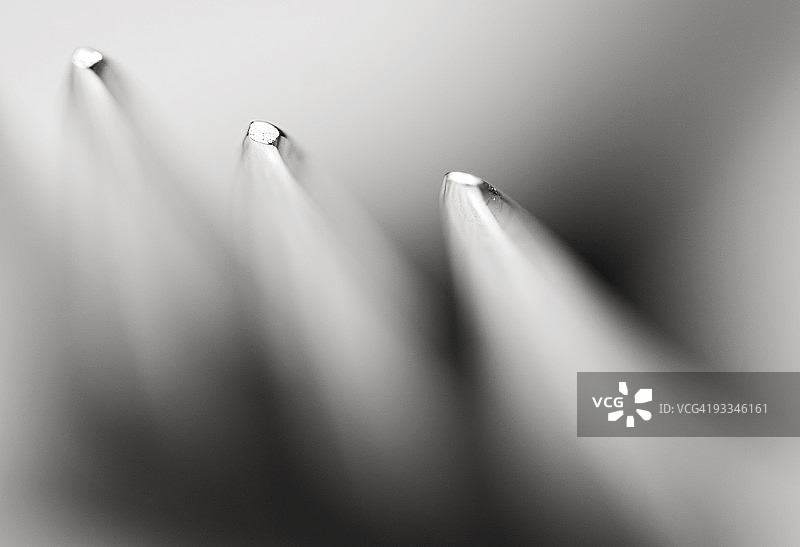 叉子，选择性聚焦图片素材