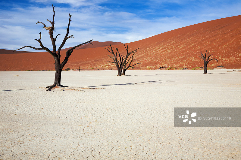 死弗莱图片素材
