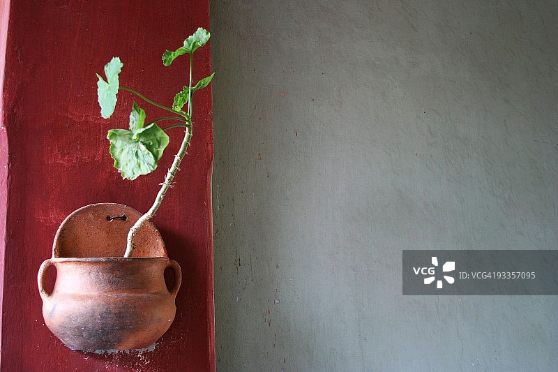 在左侧图片素材