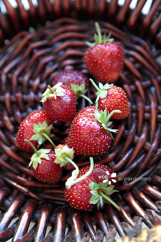 野草莓图片素材