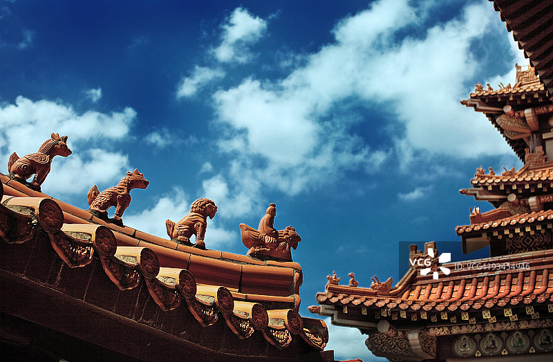 天空动物图片素材