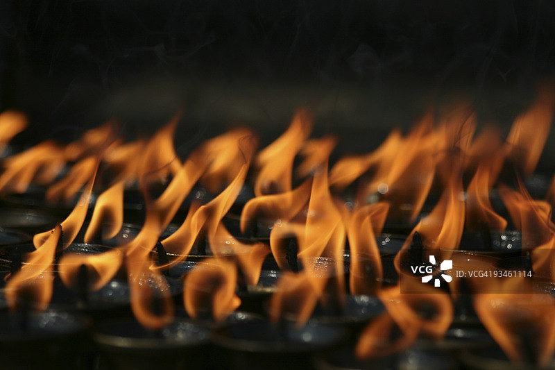 藏传佛教寺庙中的油灯图片素材