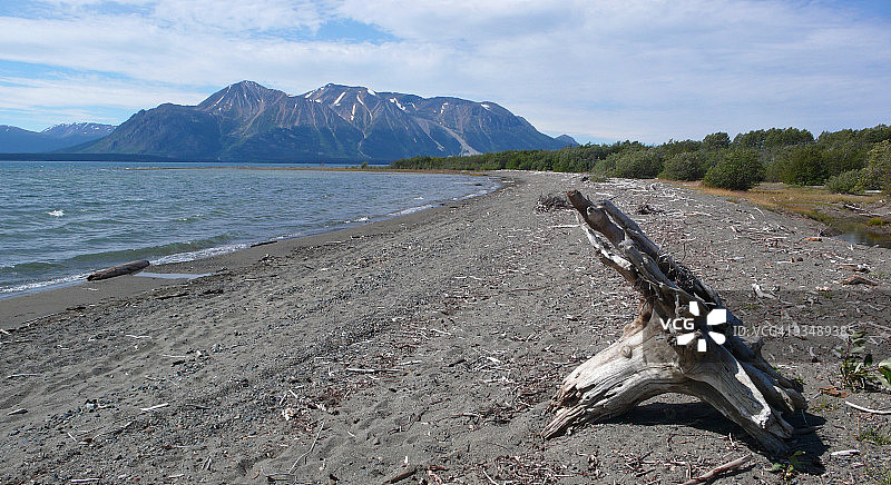 阿特林湖的浮木图片素材