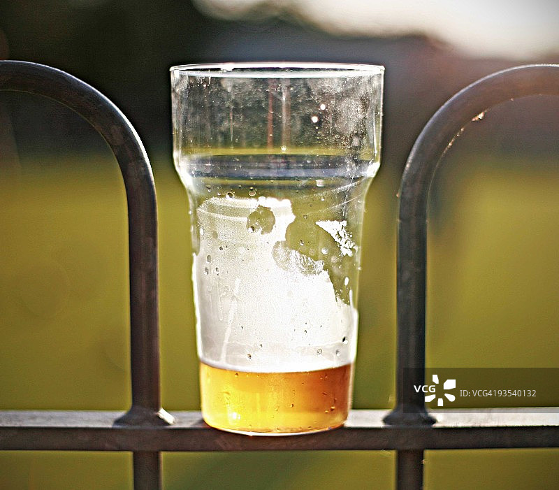 阳光下的品脱图片素材