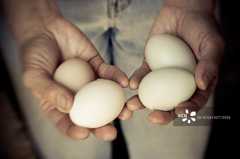 完美的鸡蛋图片素材
