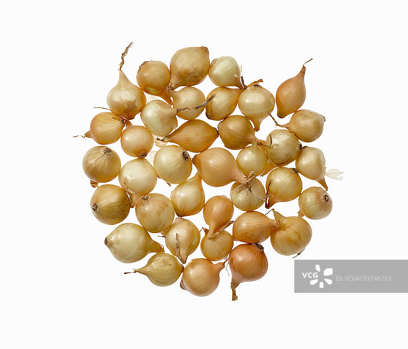 珍珠洋葱图片素材