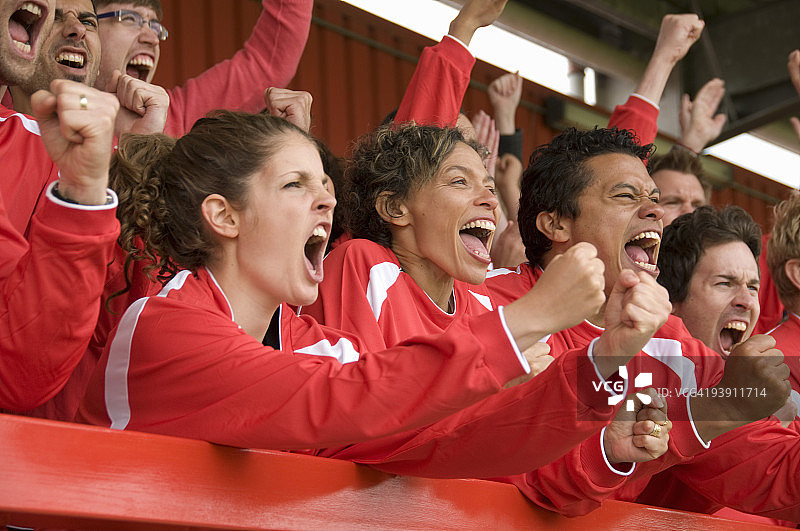 球迷在足球比赛中庆祝图片素材