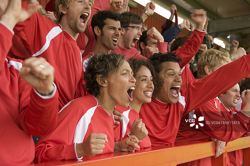 球迷在足球比赛中庆祝图片素材