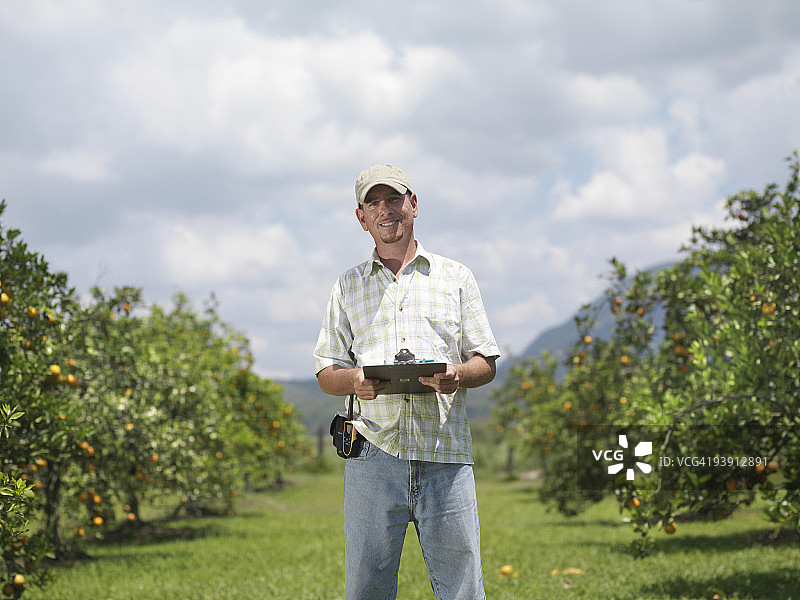 在橘子园里拿着写字板的男人图片素材