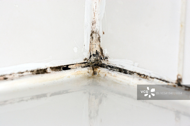 令人厌恶的酒店淋浴浴室瓷砖密封胶，带有霉菌和霉菌图片素材