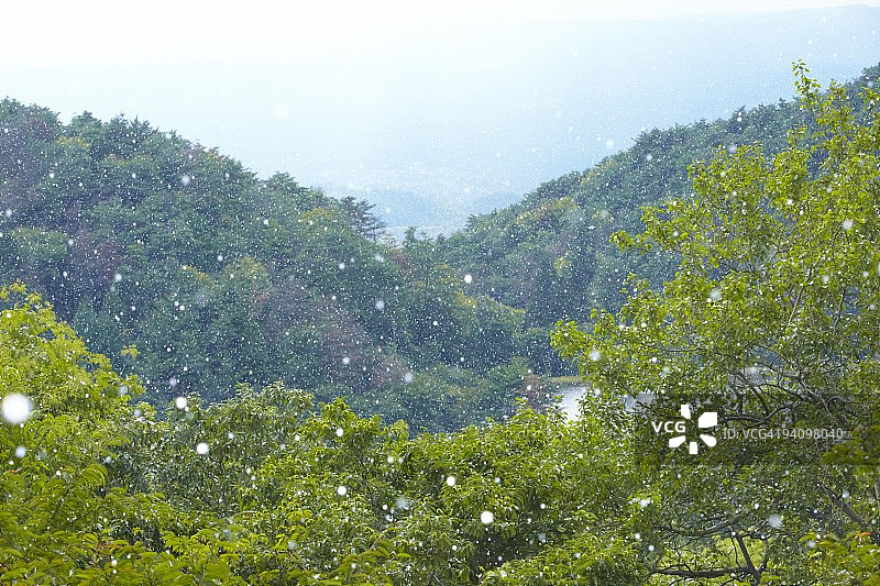 大雨图片素材