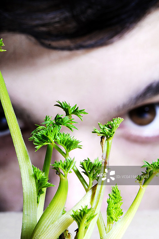 男人观看植物图片素材
