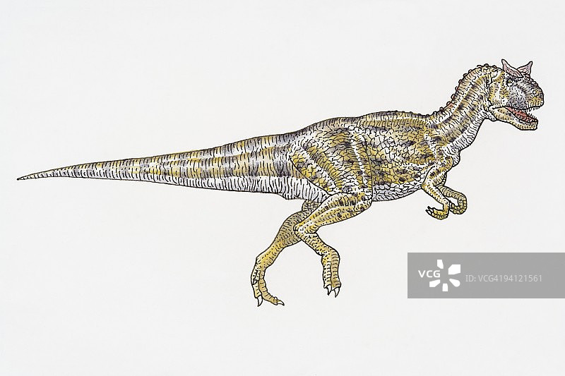 食肉牛龙恐龙插画图片素材