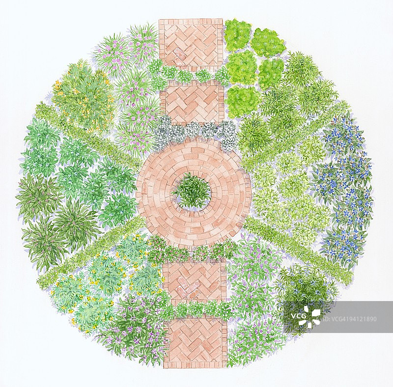 香草植物圆形花坛插画图片素材
