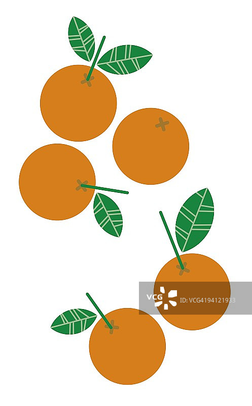 带有绿叶和茎的成熟橙子数字插图图片素材