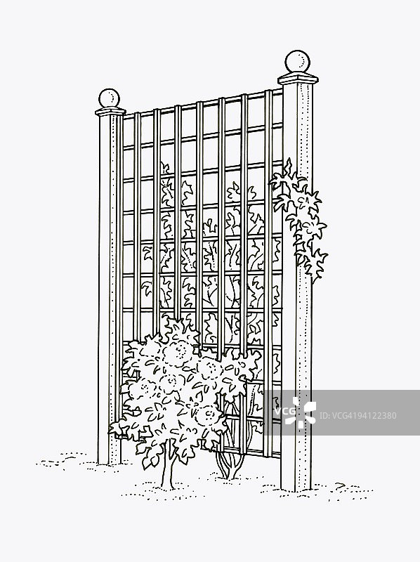 棚架两侧植物生长黑白插画图片素材