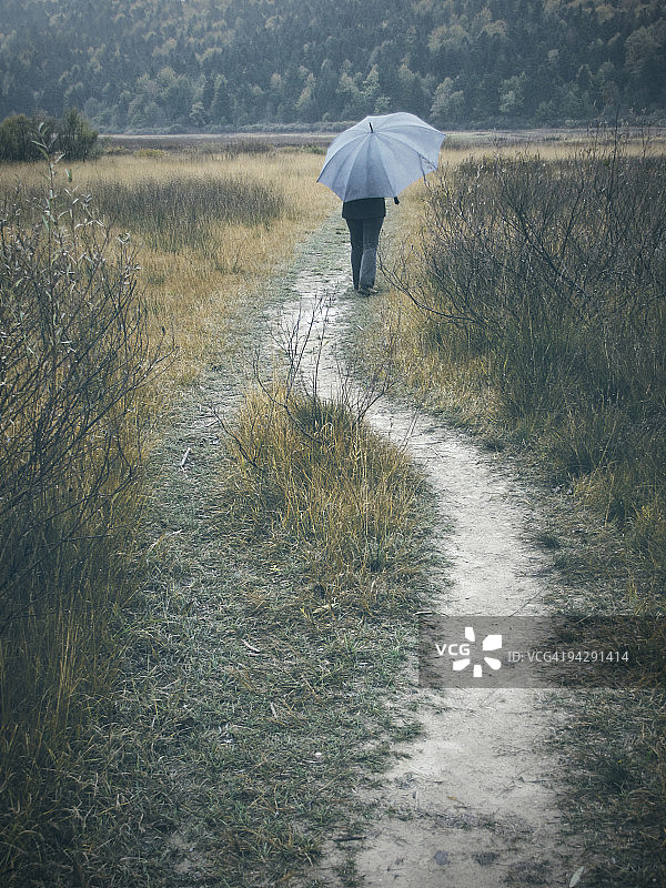雨伞图片素材