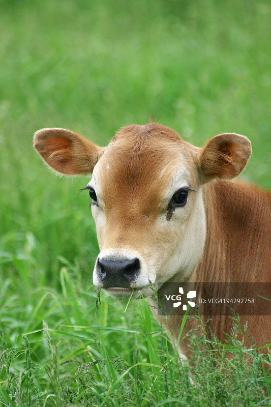 午餐时间图片素材